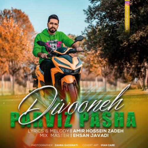 دانلود آهنگ دیوونه پرویز پاشا